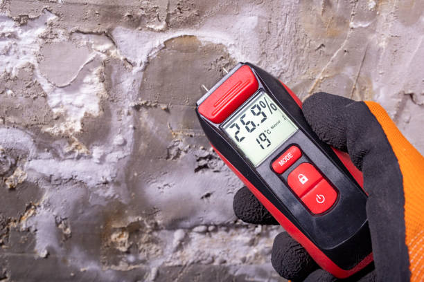 Best Mold Damage Repair  in San Jacinto, CA