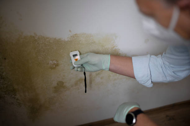Water Damage Restoration in San Jacinto, CA
