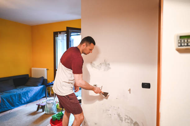 Professional Mold Removal in San Jacinto, CA